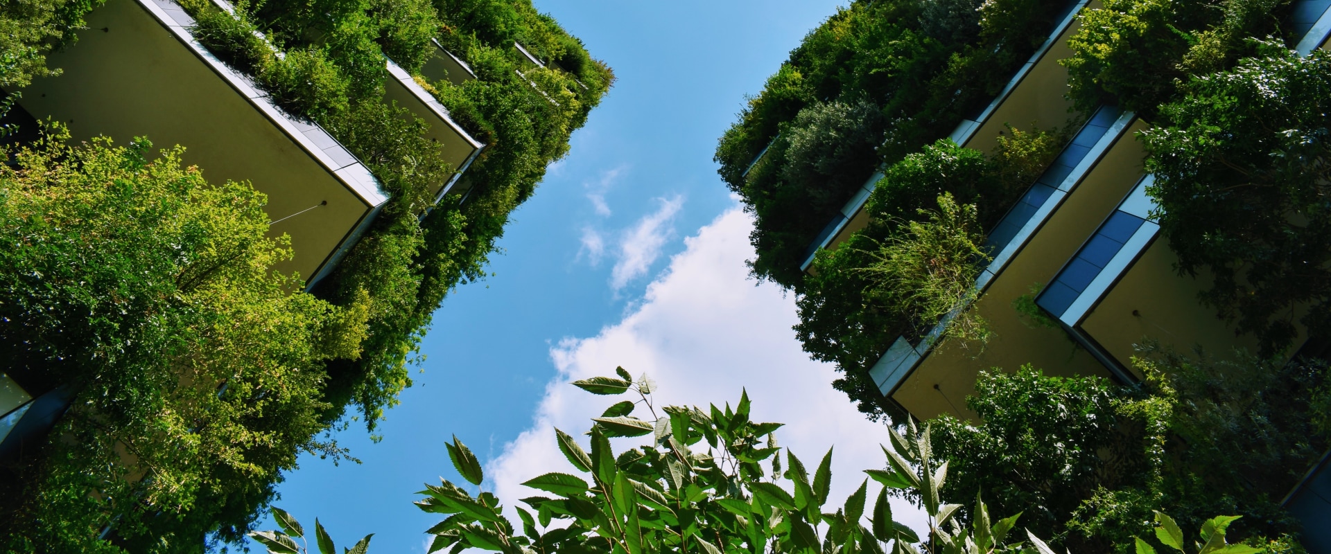 Exploring Energy Efficiency Codes and Regulations