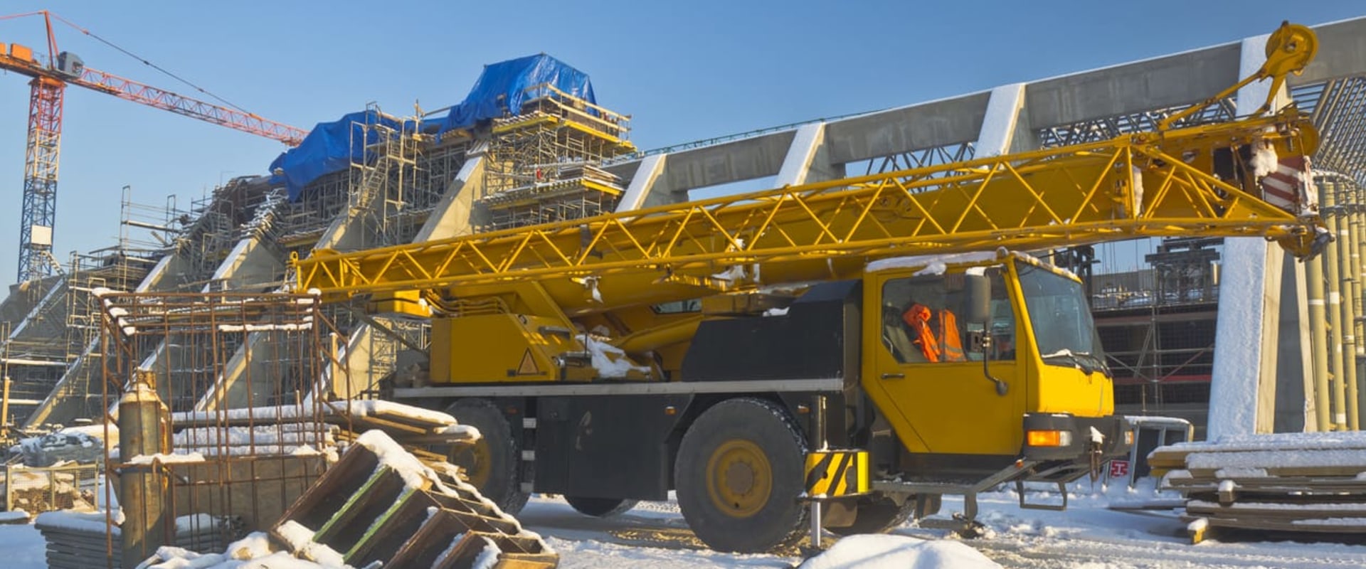 A Comprehensive Overview of Cranes