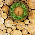 Timber - A Comprehensive Overview